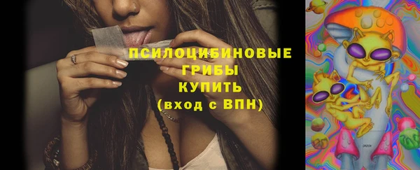 Альфа ПВП Дмитриев