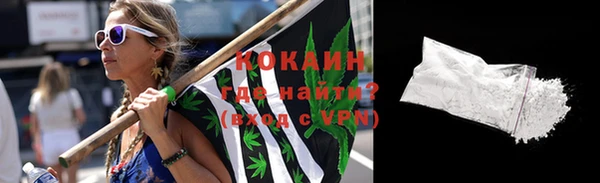 Альфа ПВП Дмитриев