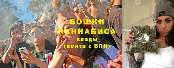 ГАЛЛЮЦИНОГЕННЫЕ ГРИБЫ Дмитров