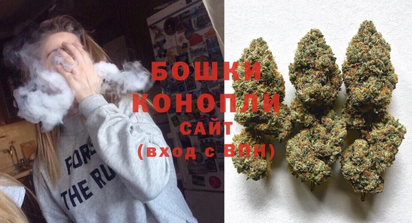 ГАЛЛЮЦИНОГЕННЫЕ ГРИБЫ Дмитров